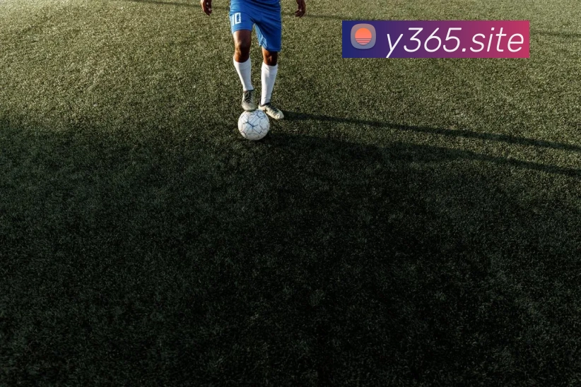 App Interface Preview