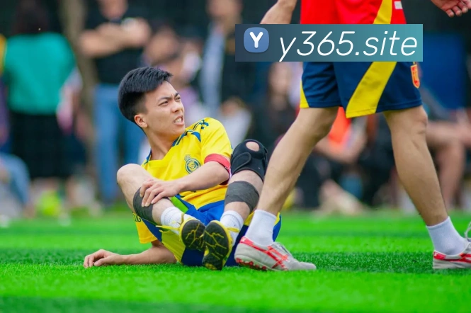 bet365官网入口APP 封面图